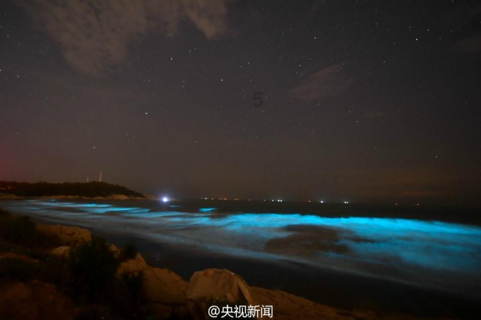 我和僵尸有个约会主题曲游戏画面